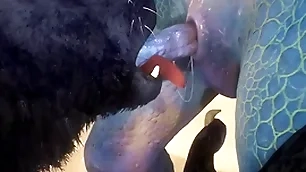 Sorcerer and lizard have sex on the run aground - wildlife