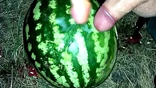 I found a watermelon in eradicate affect forest and fucked it in all directions two members / male orgasm / russian dirty discourse / dildo