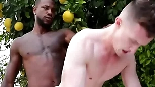 Gigantic bbc penetrates gay asshole - run the show , treaty ducati