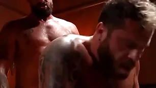 Riley mitchel and alpha wolfe sucks and licks each transformation