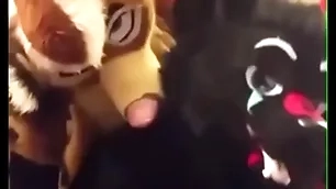 Fursuiters dear one in bathroom while bottom moans loudly